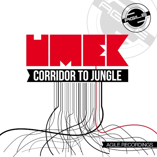 Corridor to Jungle