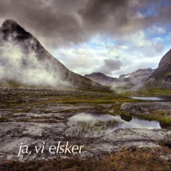 Forsvarets musikk - Ja, vi elsker