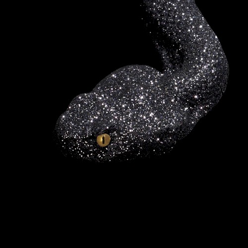 Black Mamba