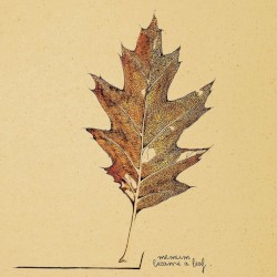 Became A Leaf