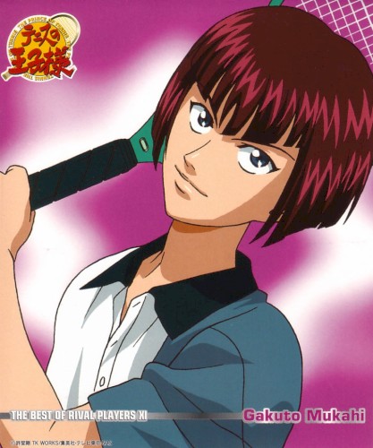 テニスの王子様 THE BEST OF RIVAL PLAYERS XI Gakuto Mukahi