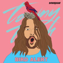 Bird Alert