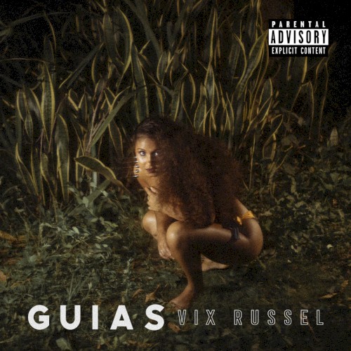 Guias