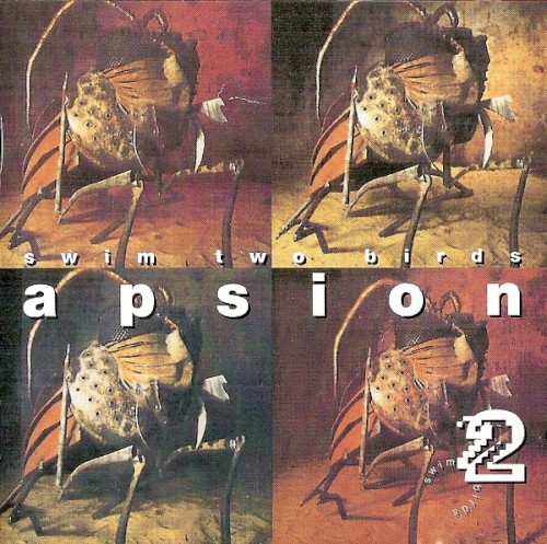 Apsion