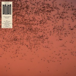 Oiseaux d’abord