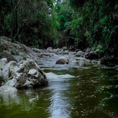 Environmental Science