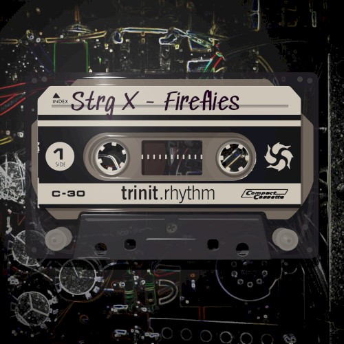 Fireflies