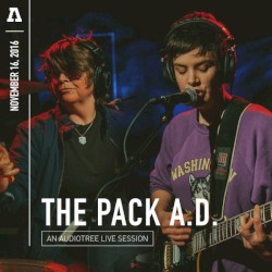 Audiotree Live Session 11/16/2016