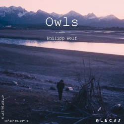 Owls (Edit)