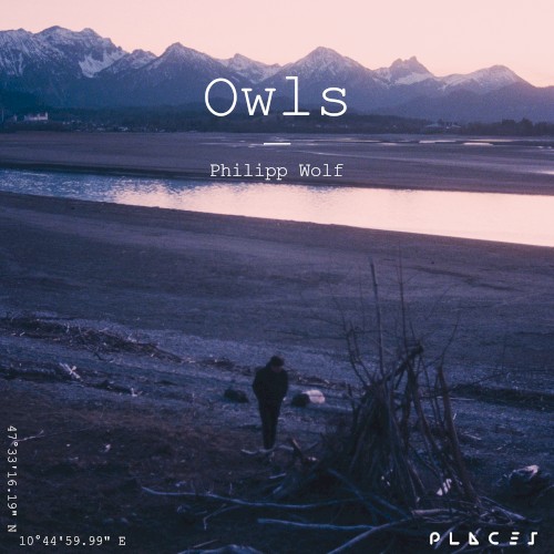 Owls (Edit)