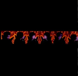 Light and Sound