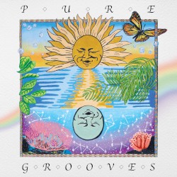 Pure Grooves Vol. 1