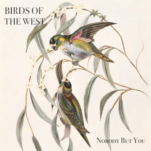 Nobody but You