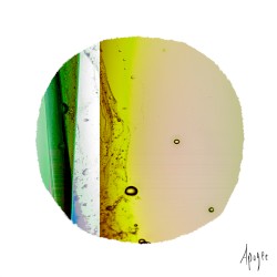Tide