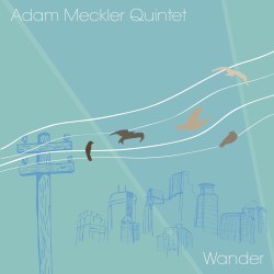 Wander