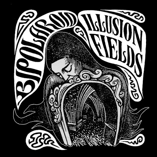 Illusion Fields