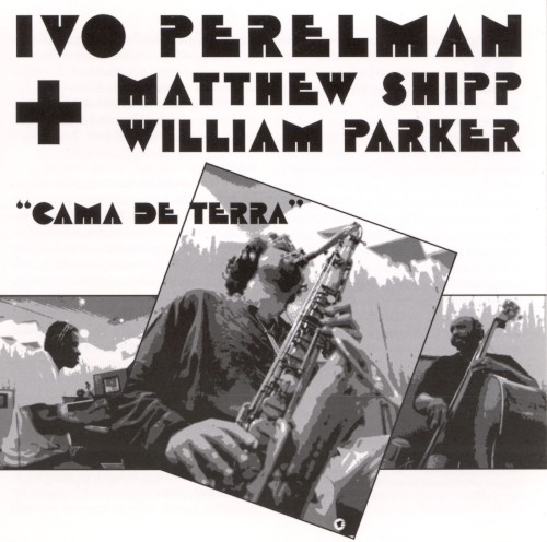 Cama de terra