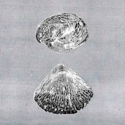 [untitled]
