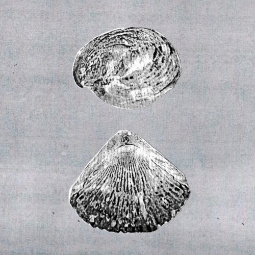 [untitled]