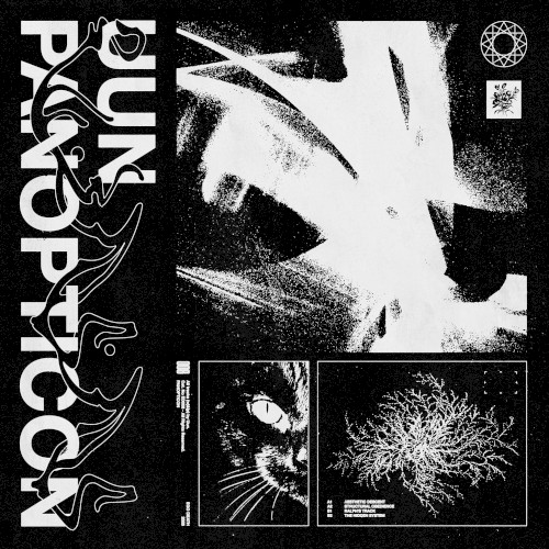 Panopticon