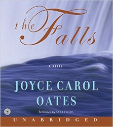 The Falls, a Novel