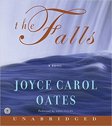 The Falls, a Novel