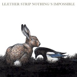 Nothing’s Impossible