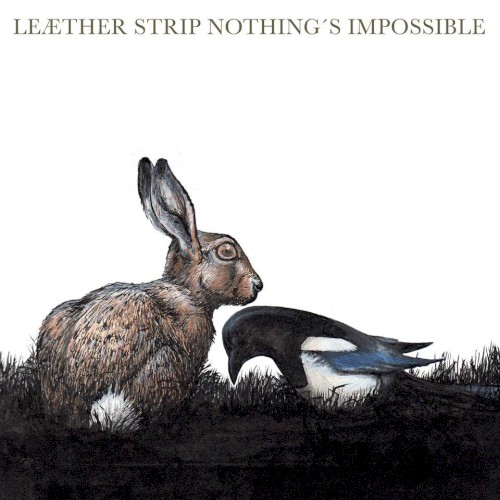 Nothing’s Impossible
