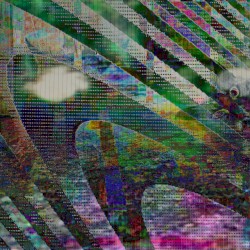 Stereo Songs