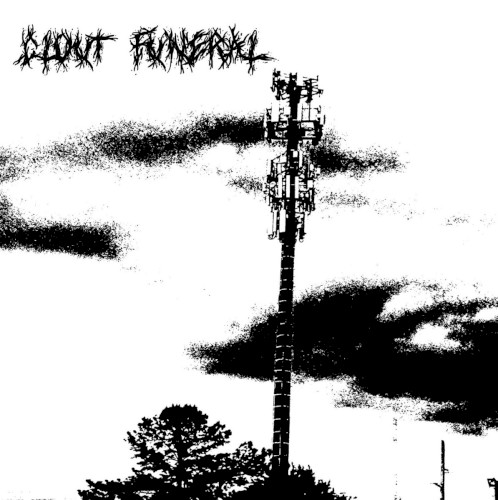 Demo/ Works Cited