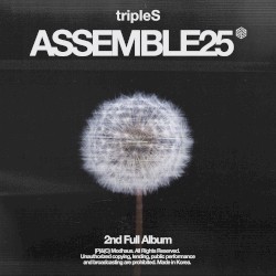 <ASSEMBLE25>
