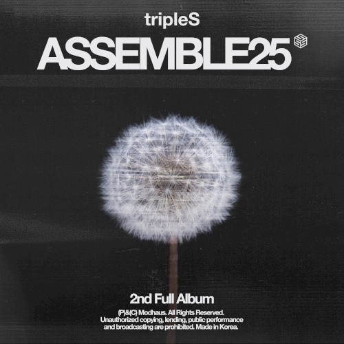 <ASSEMBLE25>