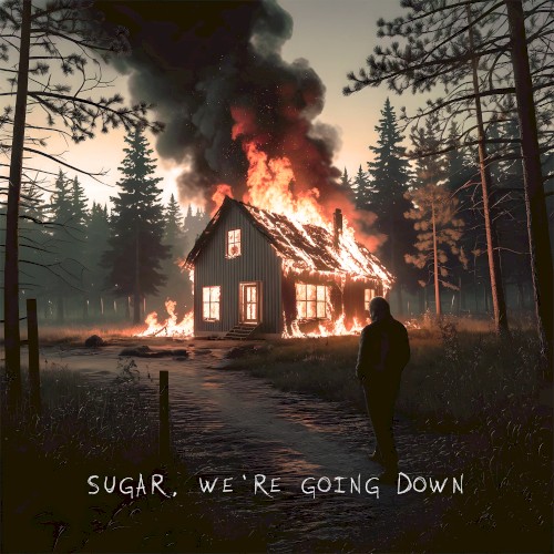 Sugar, We're Going Down