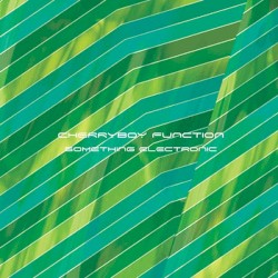 SOMETHING ELECTRONIC