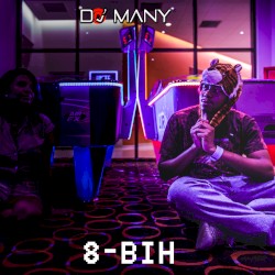 8-bih