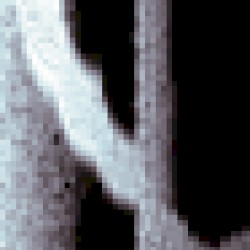 TAPR_0.1