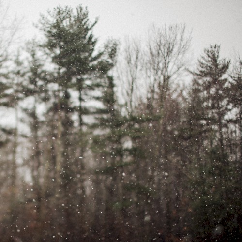Snow