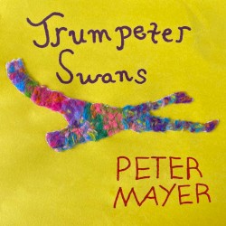 Trumpeter Swans
