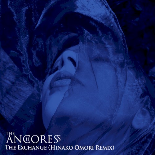 The Exchange (Hinako Omori remix)