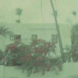 Amour / 22