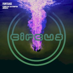 Flames (remixes)