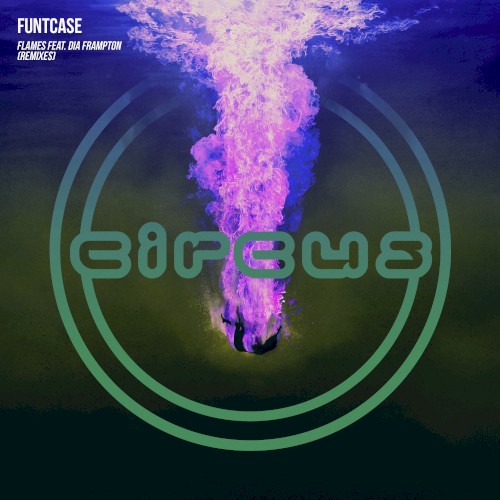 Flames (remixes)