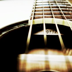 Truss rod