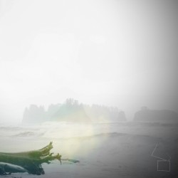 coastside dreams