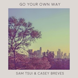 Go Your Own Way (Acoustic)