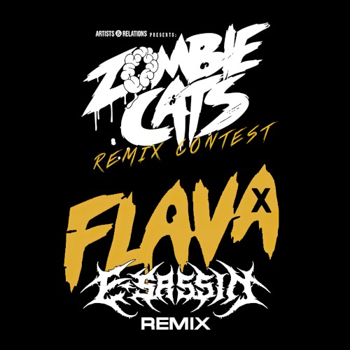 Flava (E-Sassin remix)