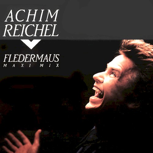 Fledermaus