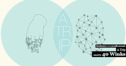 A Trip By 40 Winks