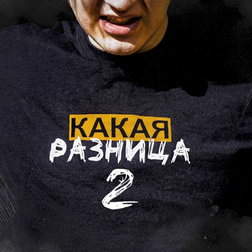 КАКАЯ РАЗНИЦА 2