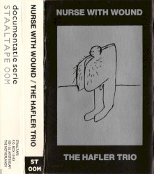 The Murray Fontana Orchestra Plays the Hafler Trio